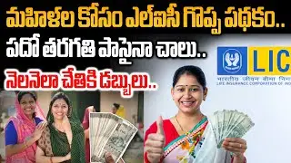 LIC's great scheme for women.. Just passing 10th grade is enough.. Money in hand every month..