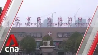 Expert speaks on pneumonia outbreak in Wuhan
