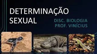 Aula - Determina&ccedil;&atilde;o Sexual - Cromossomos, Genes e Ambiente - Prof. Z&eacute; Vin&iacute;cius - Biologia ENEM