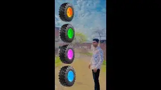 Coconut Toota Kabutar Moor Duck , video magic video