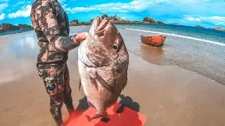 Big Sharks | Big Wind | 8 Foot Tinny - Coromandel Spearfishing (PT1)
