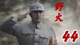 野火 第44集（趙達、姜寒、倪大紅等主演）