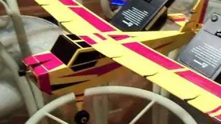 HobbyZone Champ -Ultra Micro RC Plane. Home made  review part # 1