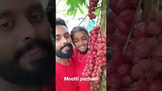 Mootti pazham