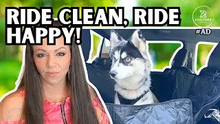 The BEST Dog Car Seat Cover in 2024 #doglover #shorts #viralvideos