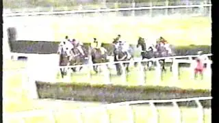 1995 - Cheltenham - Champion Chase - Viking Flagship