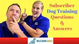 Dog Training Questions, Comments & Answers For Subscribers