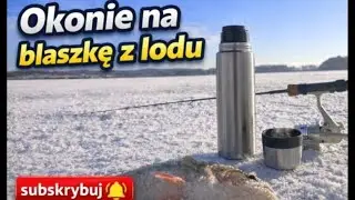 Okonie na blaszkę spod lodu 2026