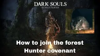 How to join the forest Hunter covenant in dark souls 1 (ds1)