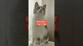 WHAT'S OUR PET POLICY?
