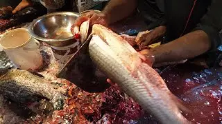 Amazing Rui Live Fish Cutting Skills in Fish Market 2020 - Fastest Rui Fish Slicing