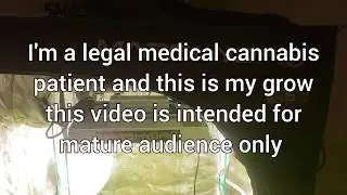 Mars hydro flower update episode #15