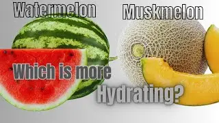 Which is more hydrating? Watermelon or Muskmelon #healthandfitnessarchives