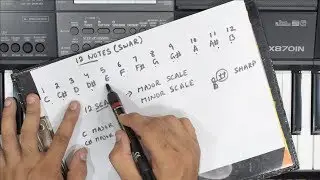 Learn Piano Easily !! बड़ी आसानी से पियानो सीखिये - Lesson #1