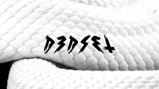d3dset - Paranoia (Official Lyric Video)