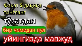 🔴Фақат 1 марта эшитинг , пул сизни ўзидан қидиради! Дунёдаги энг кучли ризқ дуоси!