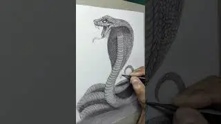 How to draw king cobra || Snake Drawing #shorts