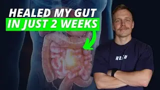 I Healed My Gut in 2 Weeks (HERE&rsquo;S HOW)