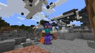Things I Do When I'm Bored in Minecraft #3