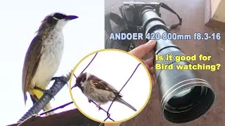 Andoer 420-800mm Lens for birds/ wildlife photography & video review (Sony A6400 mirrorless body)