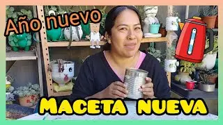 MACETA RECICLADA maceta con latas de conserva 🥫 MACETA TETERA #macetasrecicladas 