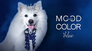 #Collectible #NFT from Simba`s collection Mood color. This one is #blue