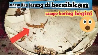 WAJIB DI TONTON !?TIPS MEMBERSIHKAN MAGIC COM MODAL NOL RUPIAH TAMPAK SEPERTI BARU LUAR DALAM