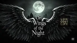 On wings of the night l Low Cost Life (Echoes at Moonset)