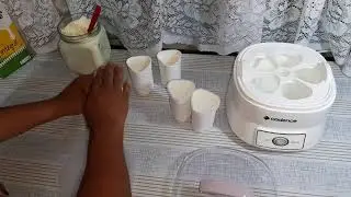 Usando pela primeira vez a Iogurteira Cadence Iog100 Naturalle