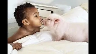 Babies and baby animals are best friends -  Cute baby and animal Compilation
