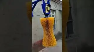 A set cow brush