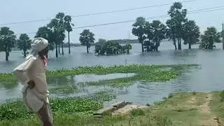 Massive Bihar Flood