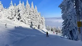 ⛷️ Acum: Telescaun Ruia - Telegondola Postavaru #PoianaBrasov #February7 #skiing #snowboarding