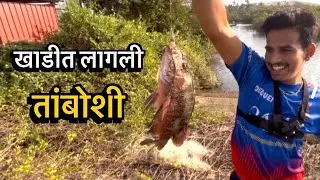 खाडीत लागला तांबोशी मासा🎣 ॥Caught Red Snapper 