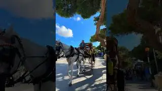 Have you ever done this ride in Malta ? 🤩