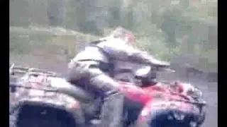 Quadding even more Doughnuts