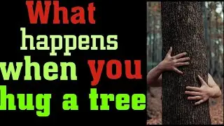 Benefits of grounding, walking barefooted and hugging trees 