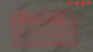 Bearcubs - Sofa (Feat. airwavesaremycigarettes)