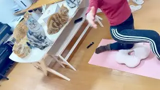 ピラティスしてるママを冷ややかな眼差しで見てる猫たち。