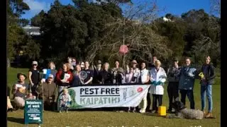Pest Free Kaipātiki - Stuart Barton