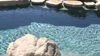 Good Fellas Pool Service