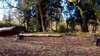 Holne Park, Devon