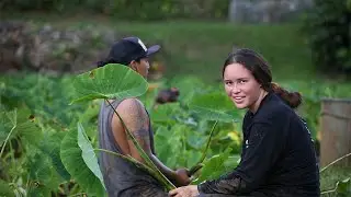 ASA Program