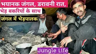 NOMADIC SHEPHERD'S COOKING THEIR DINNER IN DEEP FOREST. Himachali life. Night camping. Himachali