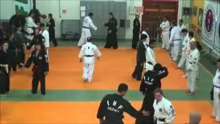 CNHKD - I Semin&aacute;rio Internacional de Hapkido e Hankido - Dezembro 2010