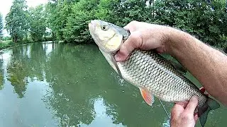 p&ecirc;che &agrave; la mouche s&egrave;che et &agrave; la nymphe sur l'Huisne