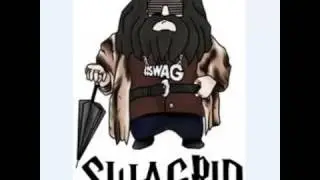 Red Hot Chili Peppers Can't stop SWAGRID DUBSTEP REMIX