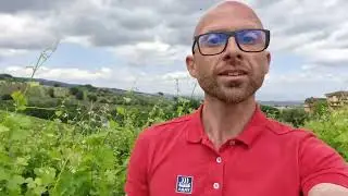 1a puntata: prova sperimentale su vigneto con i concimi organo minerali