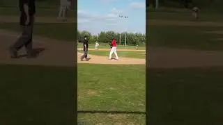Daniel Bustamante season 2020 belgium-merchtem cats