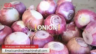 Onion Peeling Slicing Packing Processing Machine